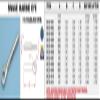 316 Stainless Steel Swage Marine Eye 3/16" (S0735-0005) view 1