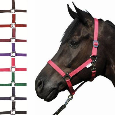 HKM 558538 Headcollar Stars Economy