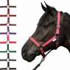 HKM 558538 Headcollar Stars Economy view 1