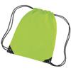 Bagbase Premium Gymsac Water Resistant Bag (11 Liters) (One Size) (Lime) view 1
