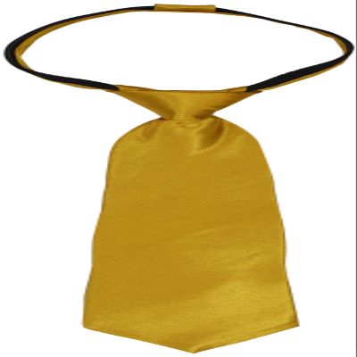 American Exchange Big Boys' Solid Zipper Tie, Gold, 14 Inch