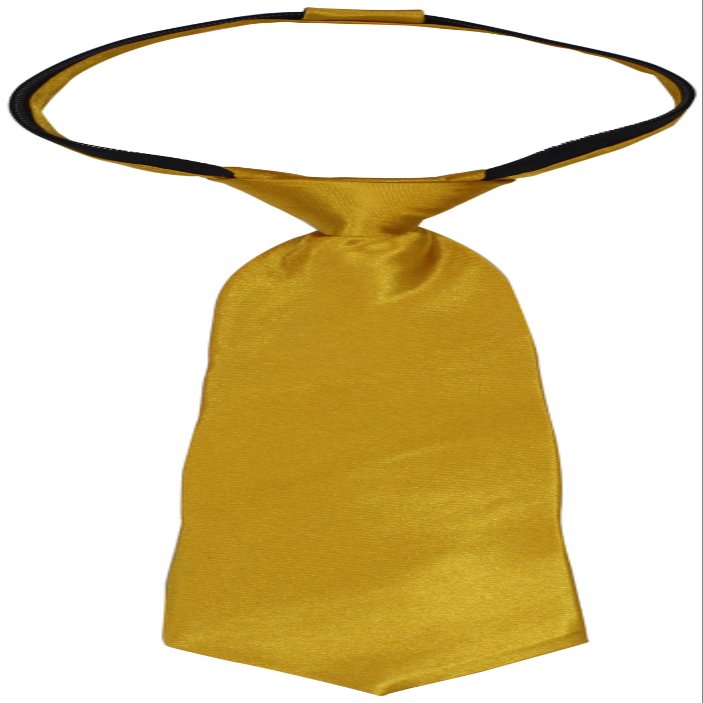 American Exchange Big Boys' Solid Zipper Tie, Gold, 14 Inch