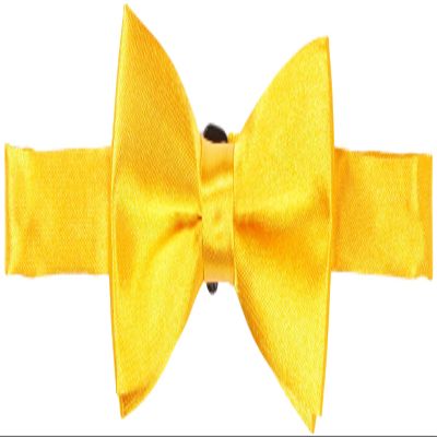 American Exchange Big Boys' Solid Bowtie, Gold, One Size
