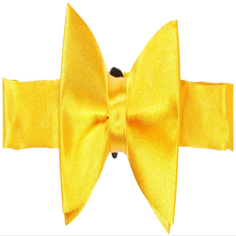 American Exchange Big Boys' Solid Bowtie, Gold, One Size