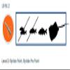 Fin-Finder Raider Pro Bowfishing Arrow with Riptide Pro Point view 2