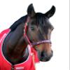John Whitaker Unisex Padded Head Collar Red/Navy Pony view 1