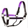 Perri's Leather Metallic Padded Leather Halter, Horse, Black/Purple view 1