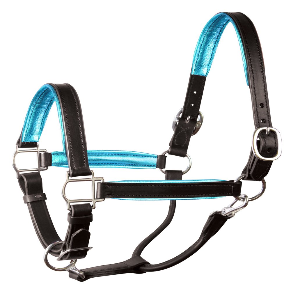 Perri's Leather Metallic Padded Leather Halter, Cob, Black/Turquoise