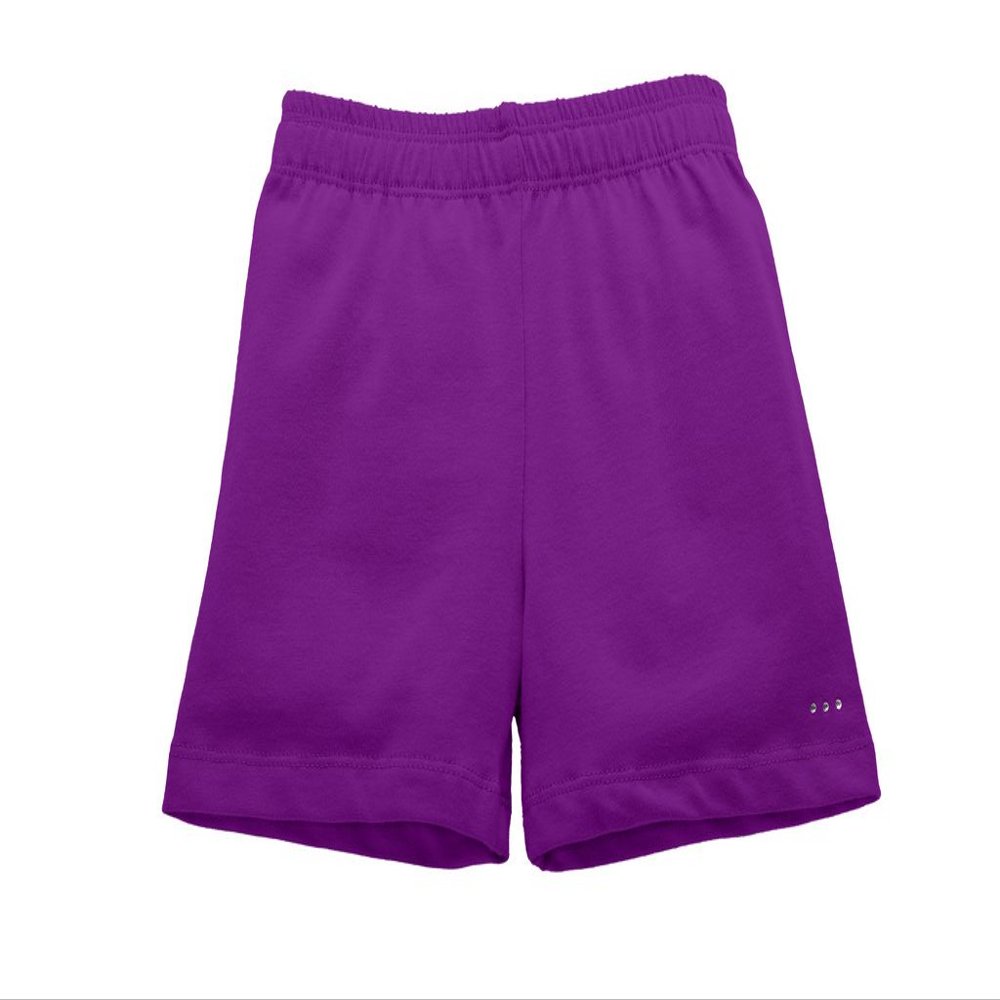 Girls Under Dress, Skirt, Uniform Short for Playground Modesty, Purple, Size 5