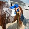 Weaver Leather eZall Complete Starter Bath Kit, Blue view 3