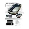 CarBeyondStore Compatible with Ford Mustang 2005 to 2009 Wildstang Dual Stripe Graphic Kit Gloss Black view 1