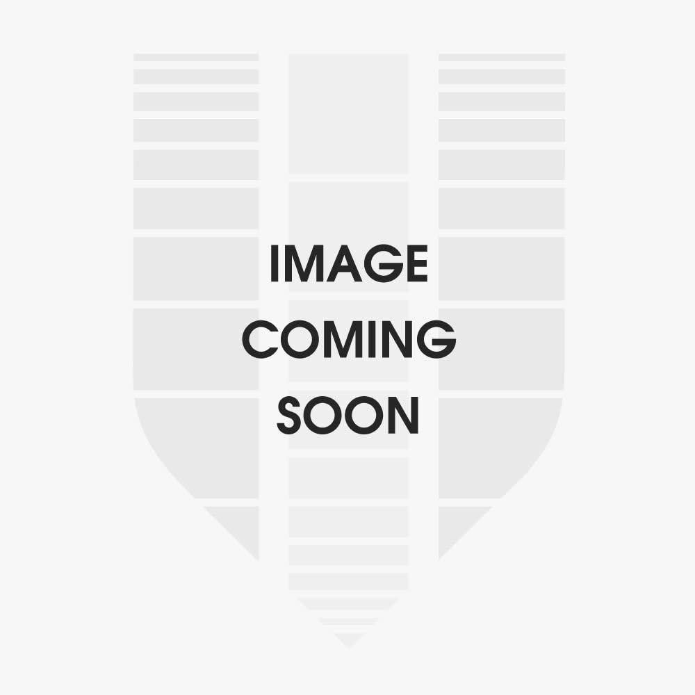 WinCraft MLB 16331013 Washington Nationals Premium Pennant, 12" X 30"