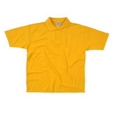 Absolute Apparel Mens Precision Polo Shirt (L) (Red)