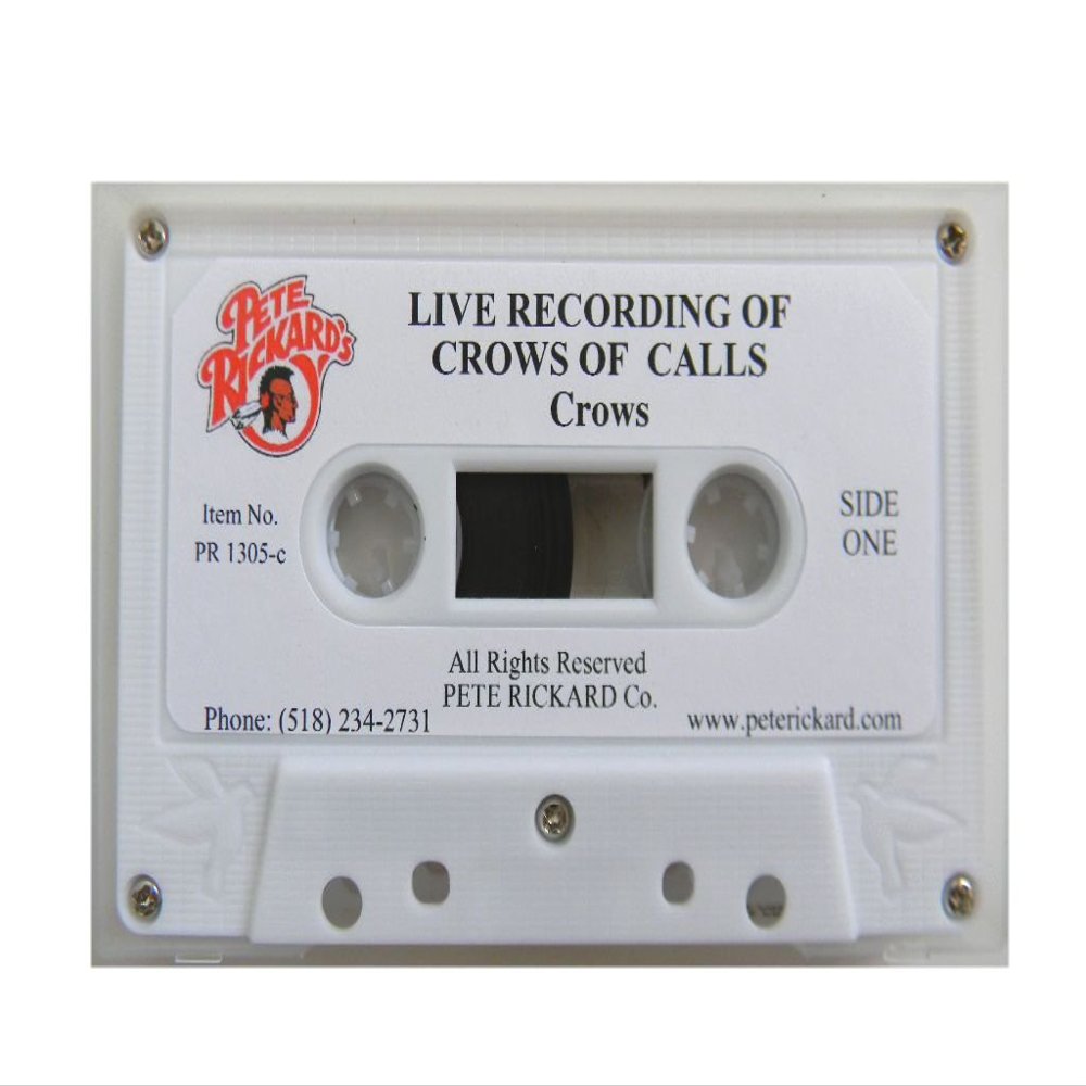 Pete Rickard's PR1305C Crow Above in Cassette