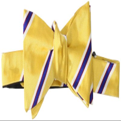 Countess Mara Men's Stewart Stripe Bow Tie, Yellow, One Size