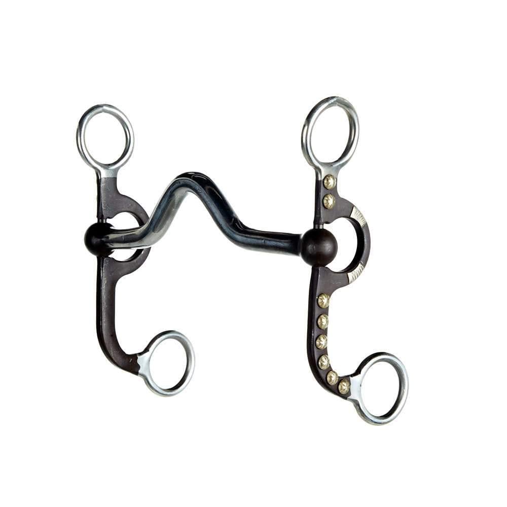 Aime Imports Medium Port Bit with Silver Dots and Bars N/A 6