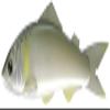 Katsuichi BabyREAYU105S Lure Silver Sweetfish view 1