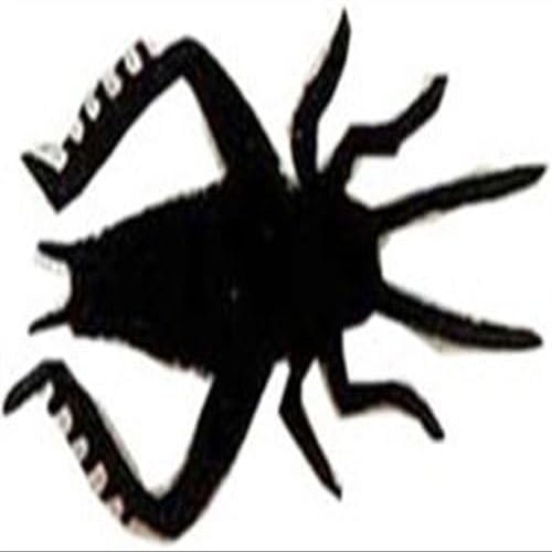 BURKE CRICKET BLACK 2/CD #8HK
