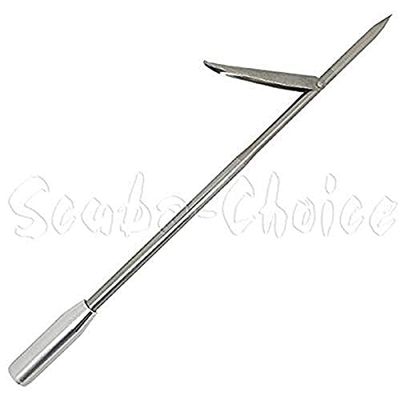 Scuba Choice 12" Stainless Steel Pole Spear Tip 8mm Female Single Barb Head  Durable Replacement Spearfishing Tip for Cold Water & Ice Fishing (Thread Diameter: 14.2mm, line: 1.25mm)