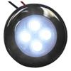Aqua Signal Bogota 4 LED Round Light - White LED w/Stainless Steel Housing view 1