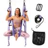 Yoga Trapeze Swing Set for Home & Outdoor | Easy Setup for Strength, Balance & Back Pain Relief | Adjustable Straps & 600lb Capacity, Includes Carrying Bag & Online Tutorials, Purple view 1