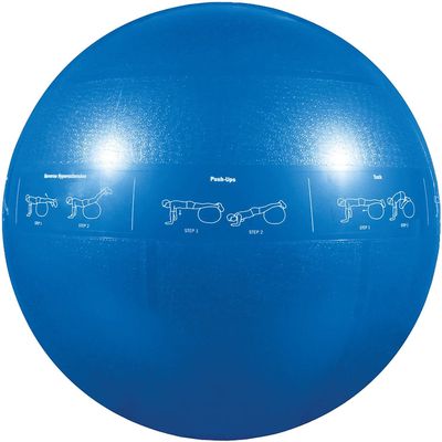 GoFit GF-55PRO Professional Stability 55cm Ball w/Brook Benten DVD, Blue