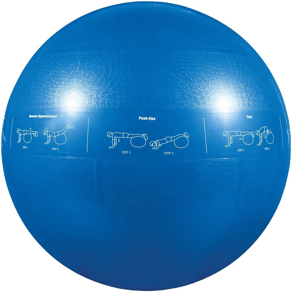 GoFit GF-55PRO Professional Stability 55cm Ball w/Brook Benten DVD, Blue