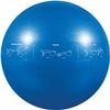 GoFit GF-55PRO Professional Stability 55cm Ball w/Brook Benten DVD, Blue view 1