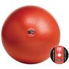 GoFit GF-55PRO Professional Stability 55cm Ball w/Brook Benten DVD, Blue view 2