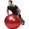 GoFit GF-55PRO Professional Stability 55cm Ball w/Brook Benten DVD, Blue view 3