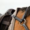 HORZE Adjustable 3-Point Breastplate - Black - Pony view 3