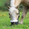 Shires Deluxe Grass Feeding Grazing Muzzle Small Pony view 2