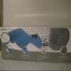 Sport Craft Lower Back and Core Strength Kit view 1