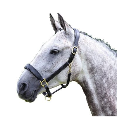 Shires Equestrian Blenheim Leather Horse Travel Halter (Full, Black)