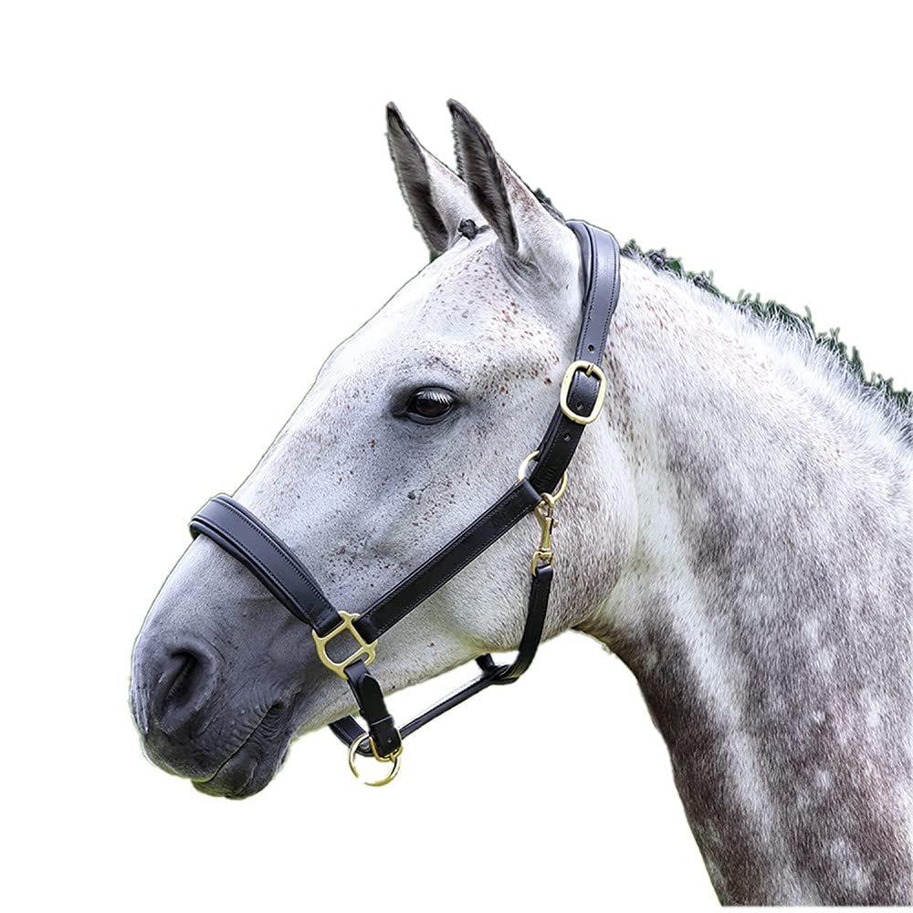 Shires Equestrian Blenheim Leather Horse Travel Halter (Full, Black)