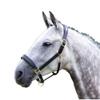 Shires Equestrian Blenheim Leather Horse Travel Halter (Full, Black) view 1