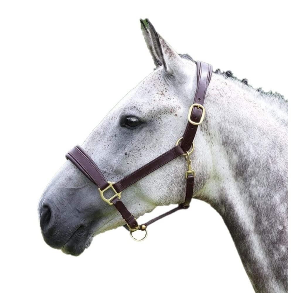 Shires Equestrian Blenheim Leather Horse Travel Halter (Pony, Havana)