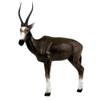 DELTA McKENZIE African Blesbock 3D Pro Target view 1