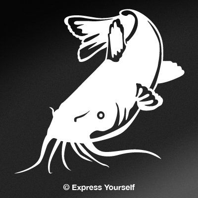 Express Yourself Products Catfish Feeding (White - Facing as Shown - XL) Decal Sticker - Freshwater Fish Collection