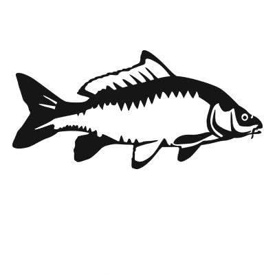 Express Yourself Carp Detailed (Black - Facing as Shown - 3XL) Decal Sticker - Freshwater Fish Collection