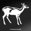 Express Yourself Startled Doe (White - Reverse Image - 3XL) Decal Sticker - Big Game Collection view 1