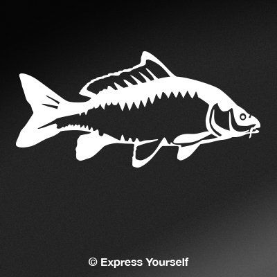 Express Yourself Carp Detailed (White - Facing as Shown - 3XL) Decal Sticker - Freshwater Fish Collection