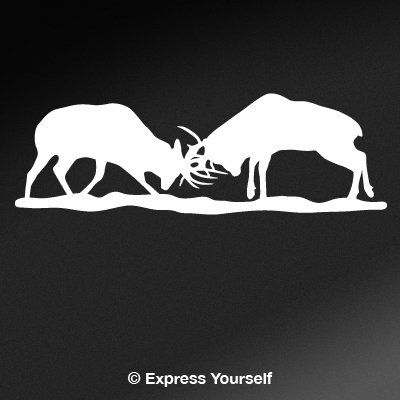 Express Yourself Elk Battle Mural (White - Reverse Image - 3XL) Decal Sticker - Big Game Collection