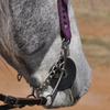 Cashel Bit Cheek Guard (Pair) view 2