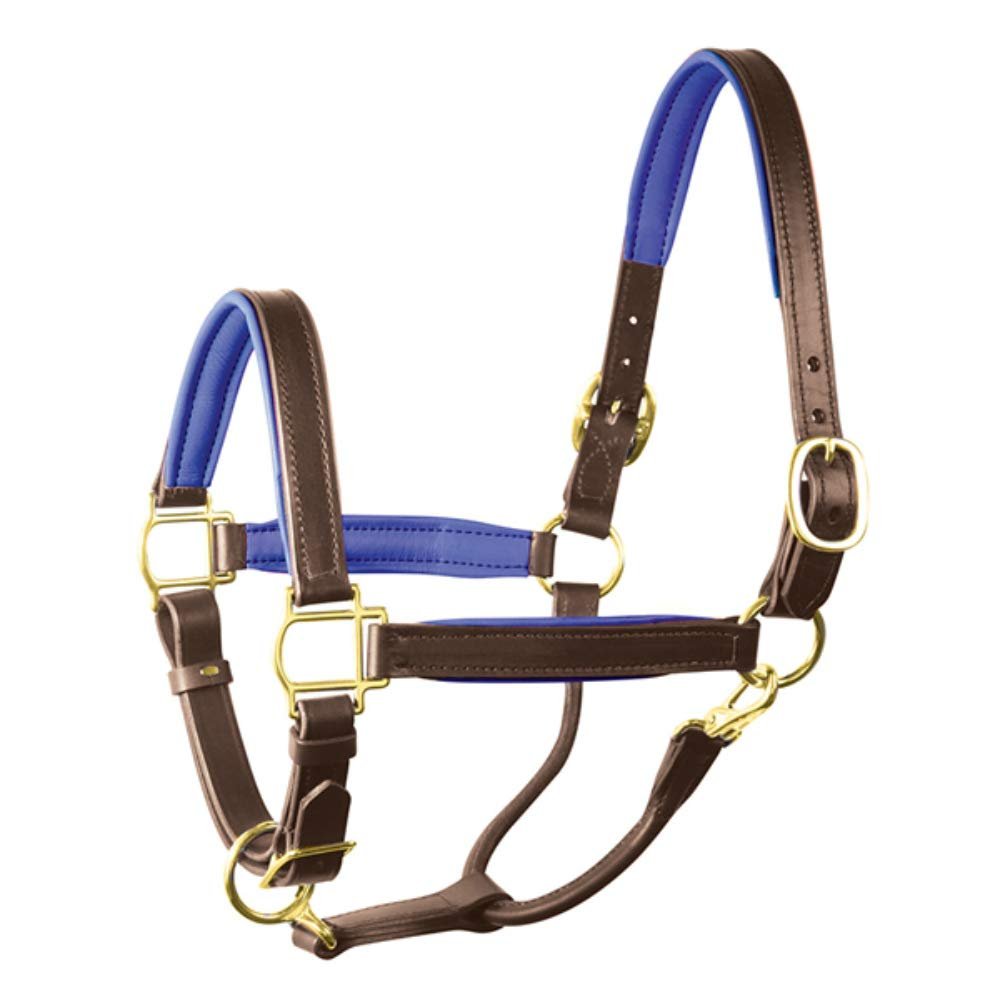 Perri's Padded Leather Halter (Havana/Blue, Horse)