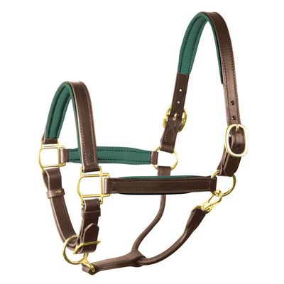 Perri's Padded Leather Halter (Havana/Hunter Green, Horse)