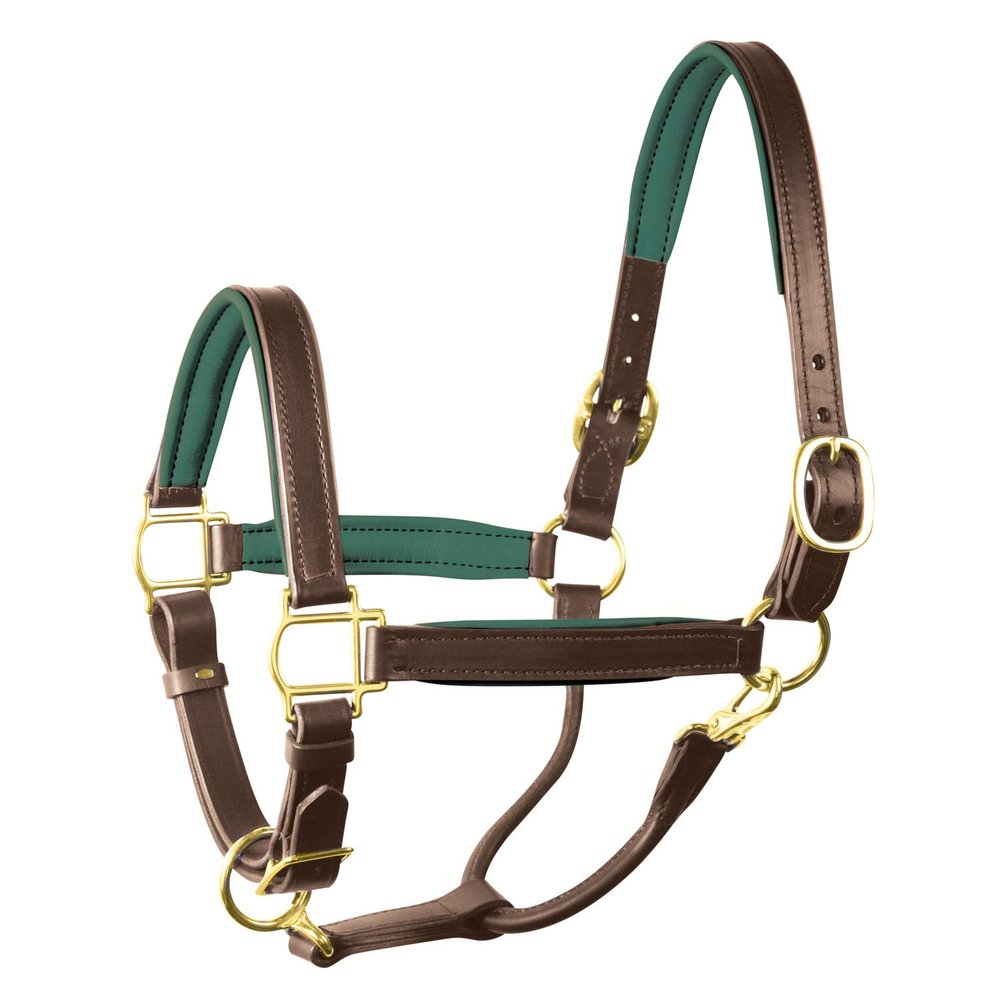 Perri's Padded Leather Halter (Havana/Hunter Green, Horse)