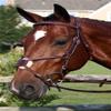 Nunn Finer Milano Bridle view 1
