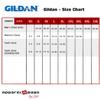 64V00L Gildan Junior Fit Softstyle V-Neck T-Shirt - Cherry Red - Small view 2
