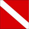 Annin Skin Diver Flags, 20 x 30in skin diver flag nyl-glo view 1